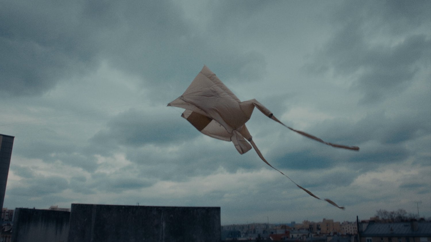 Element x Ronan Lecreurer-4