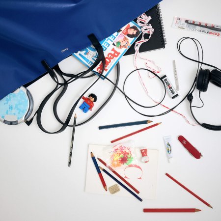 L'affaire dans le sac